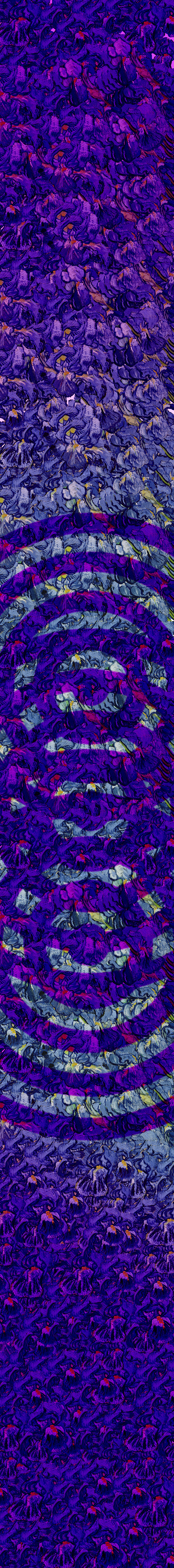 iris topsheet