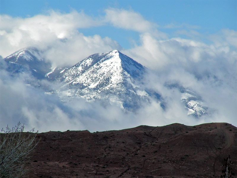 Islands in the Desert