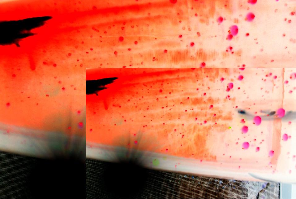 it probably sucks...but i'll post it anyway