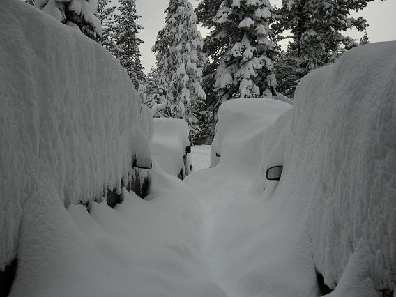 it snowed last night