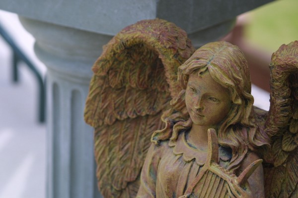 It took me months to hunt down this angel