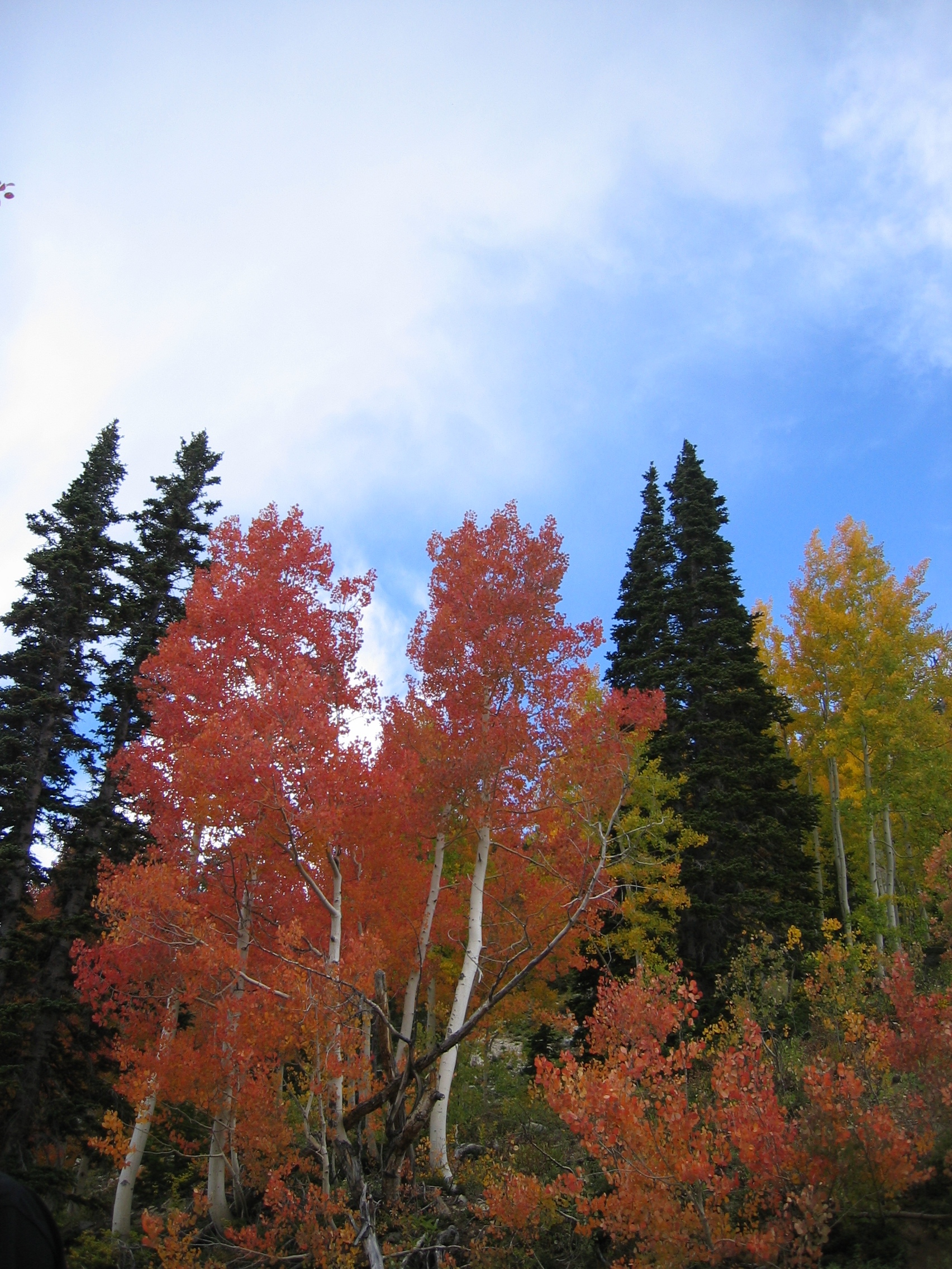 Its about that time...2