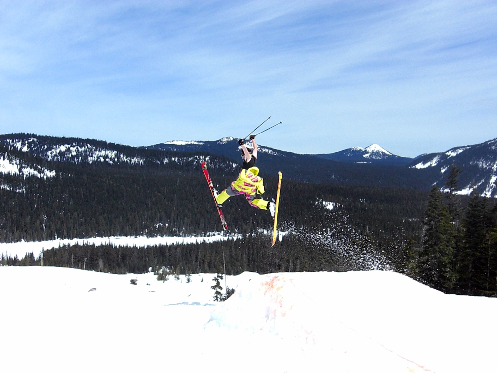 It's All About The Daffy