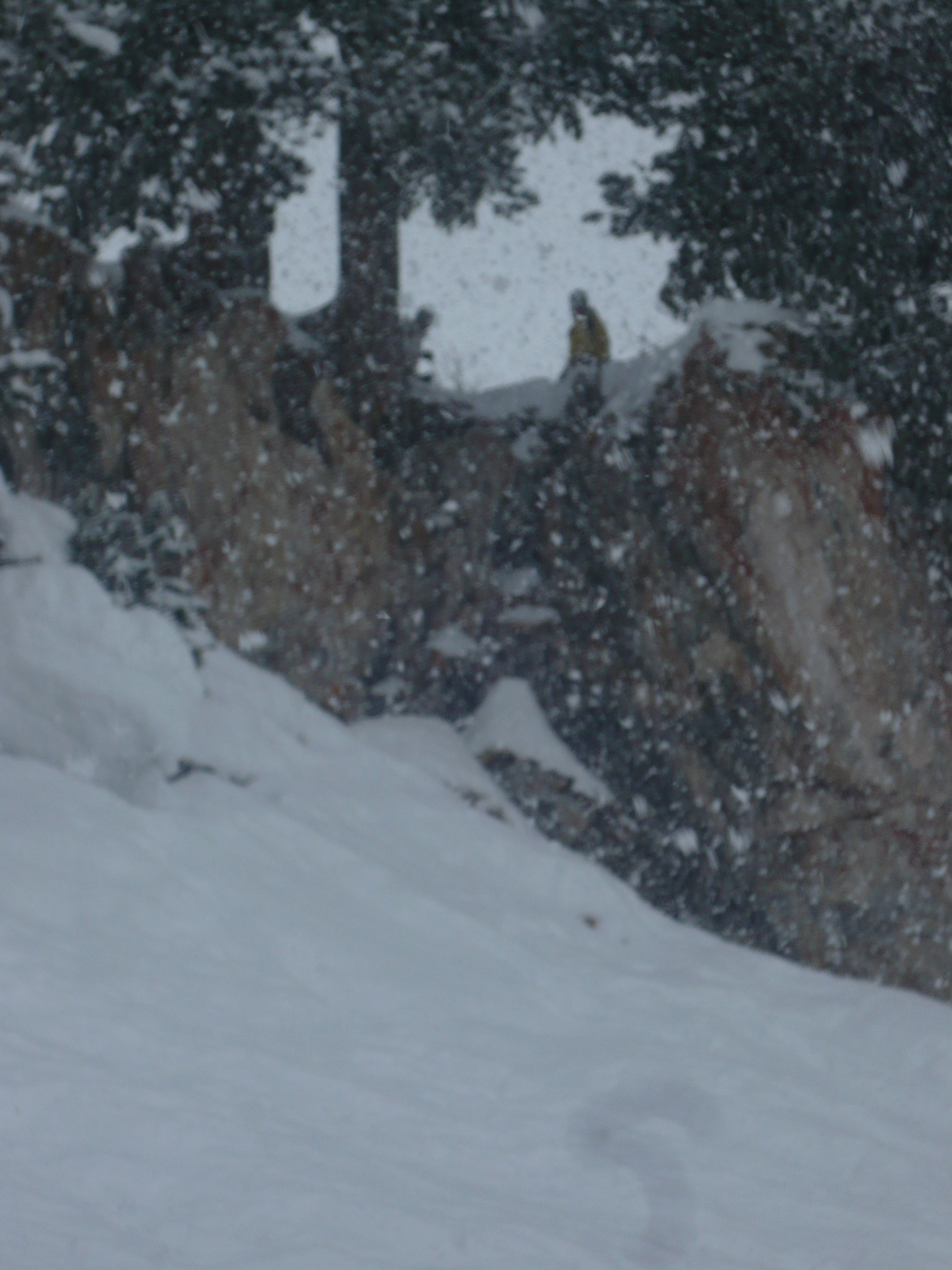 It's snowing in Marioland!