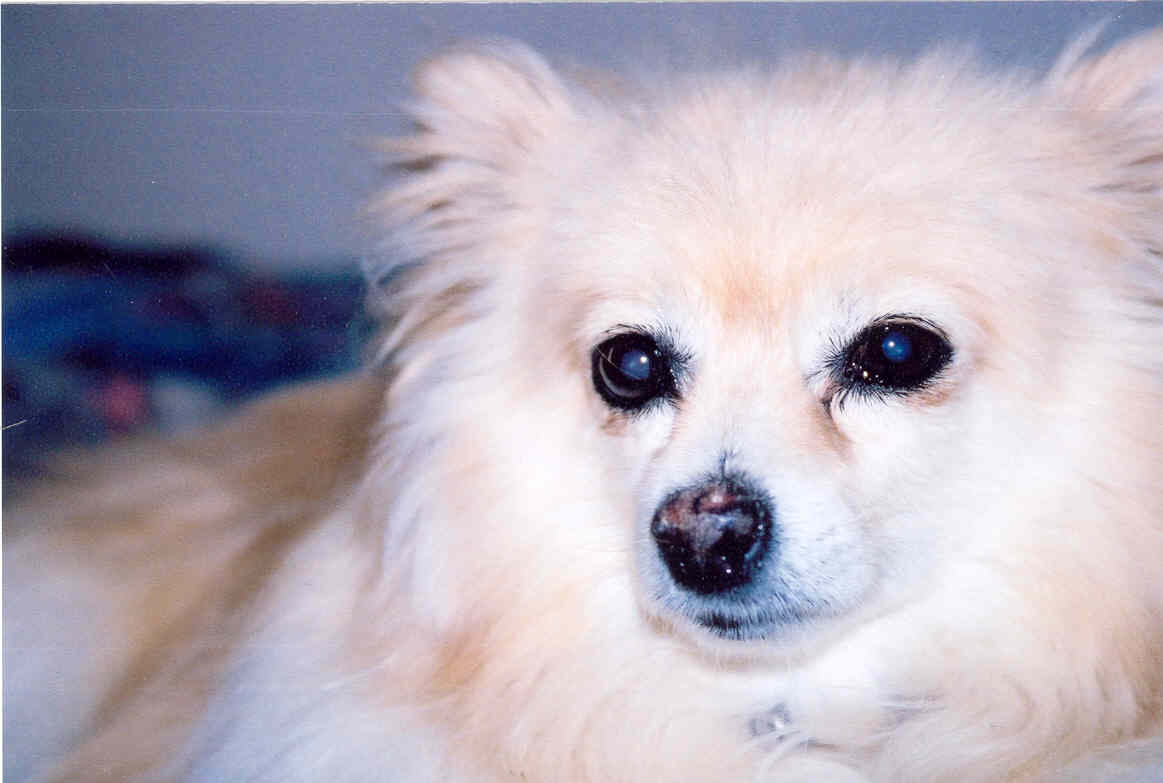 it's the Devil....aahhhhhhh!!