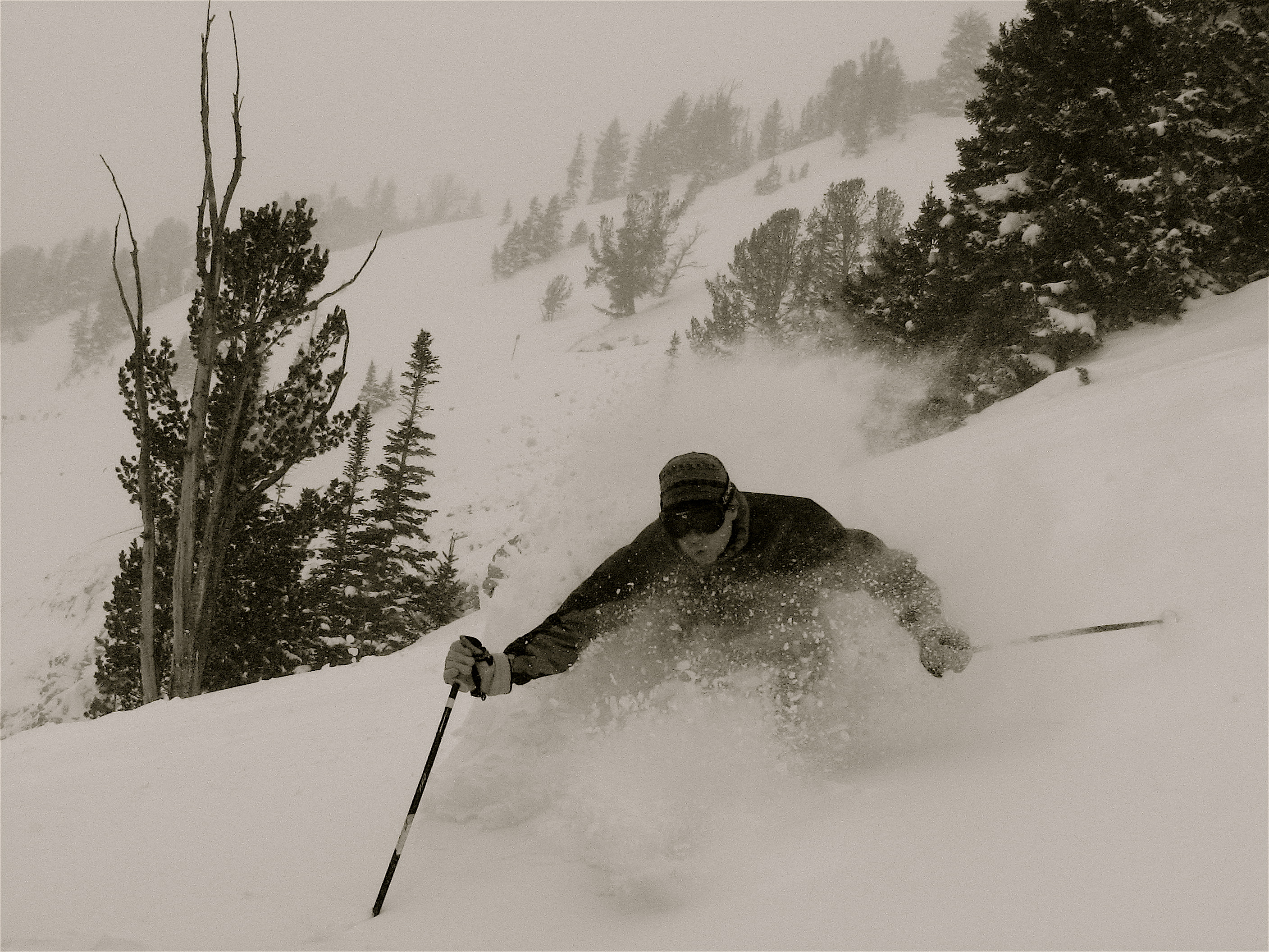 Jackson hole powder