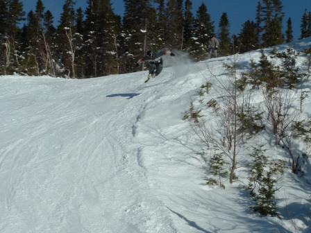 J'ai essayer de m'envoler....mais sans succes !