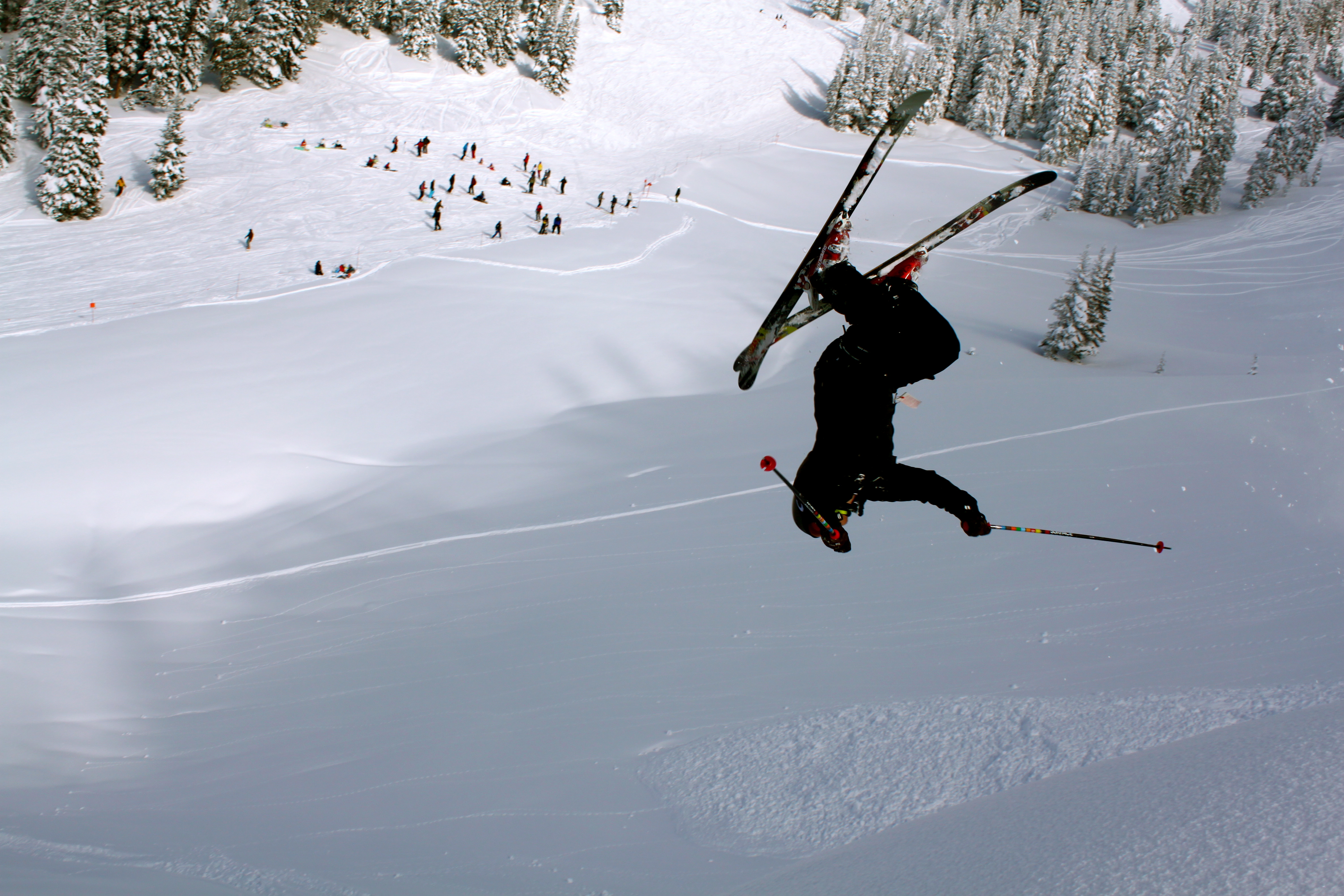 Jake's crowed pleaser