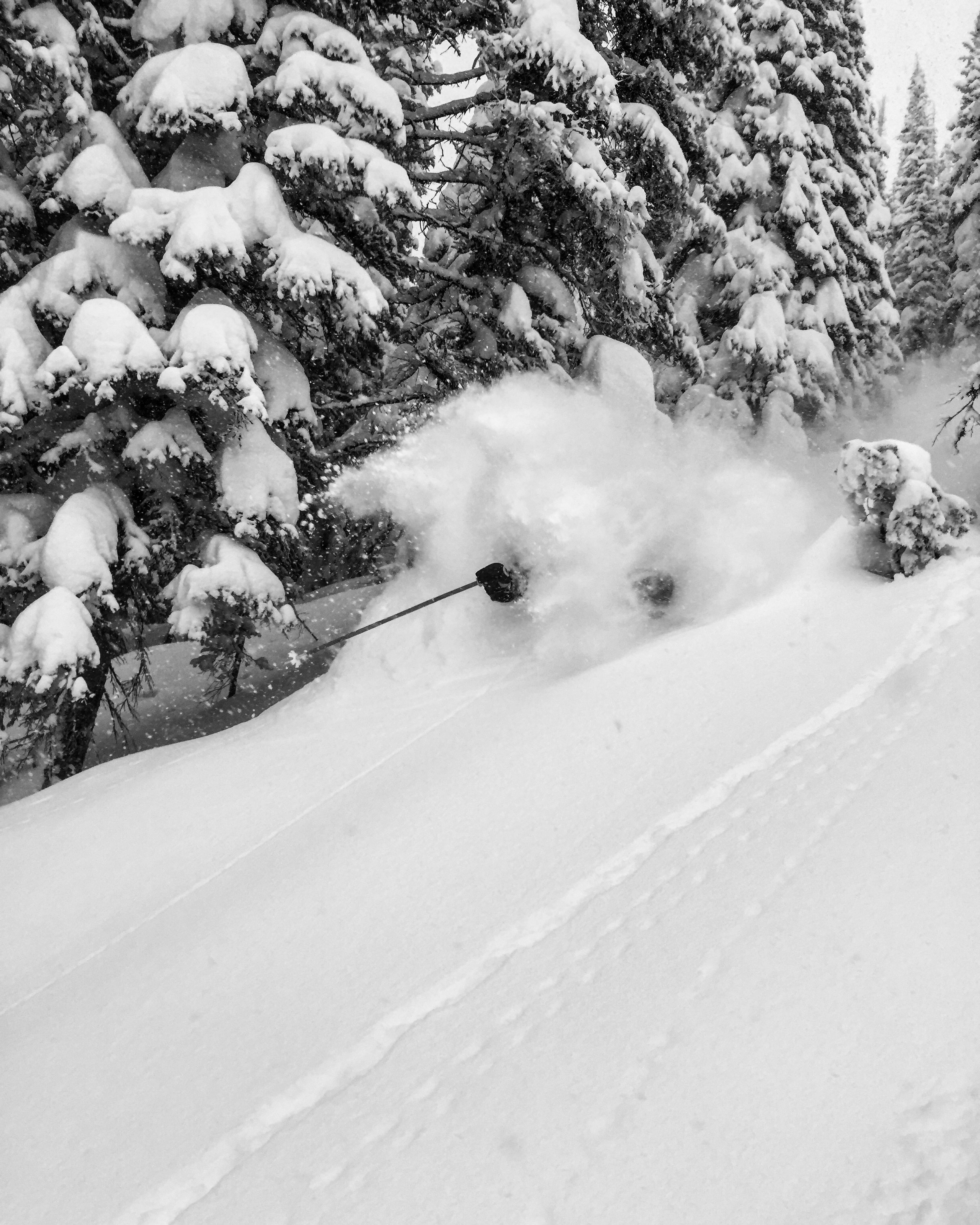 January 5th - Trenchtown