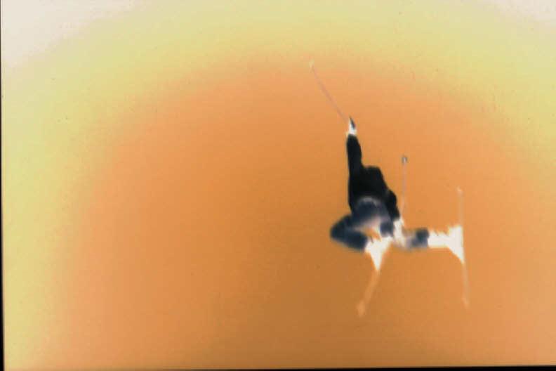 Japan air w/ nothin' but sky