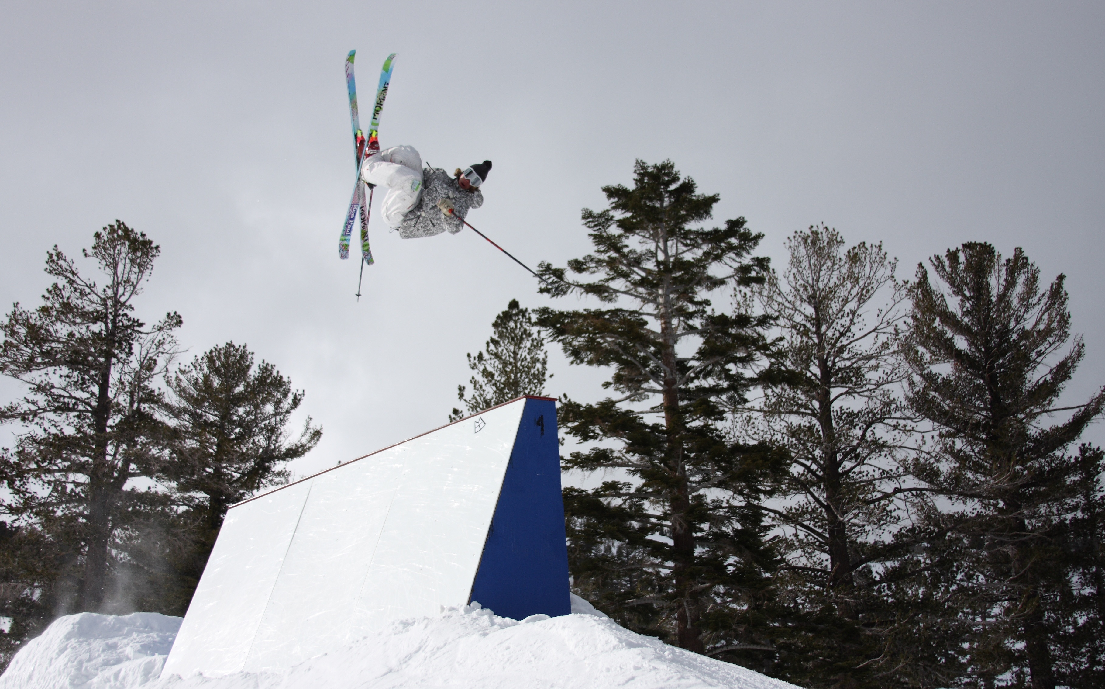 Jared Dalen flat 5 transfer...