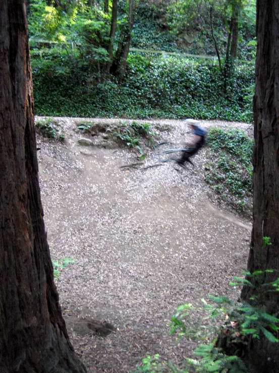 Jeff+Bike+Trees=Artistic