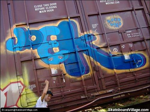 joek, another montreal cat