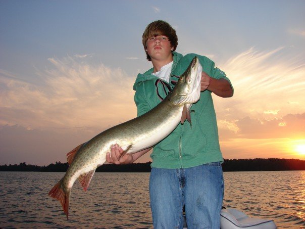 John's 43'' musky