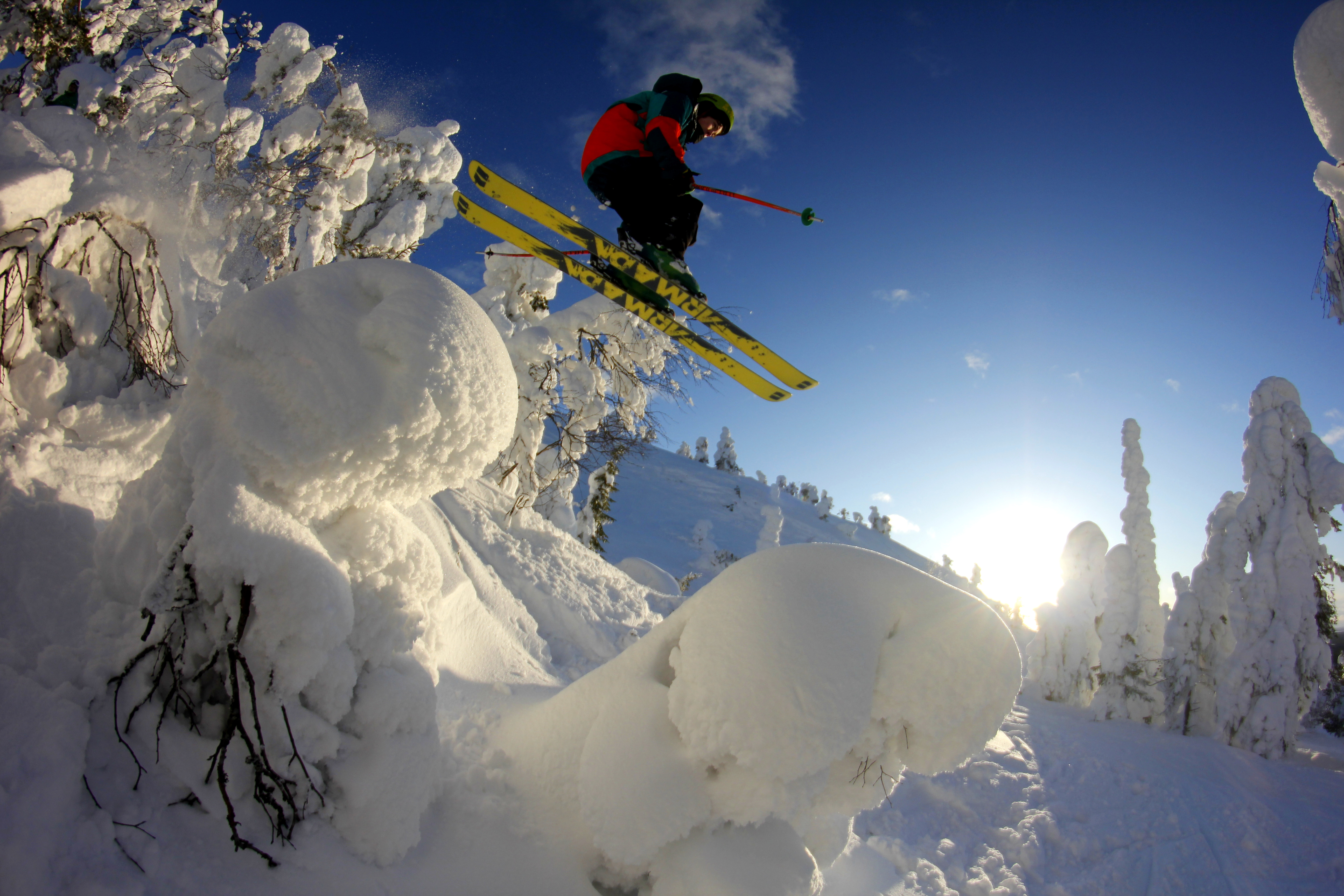 jump over the tree