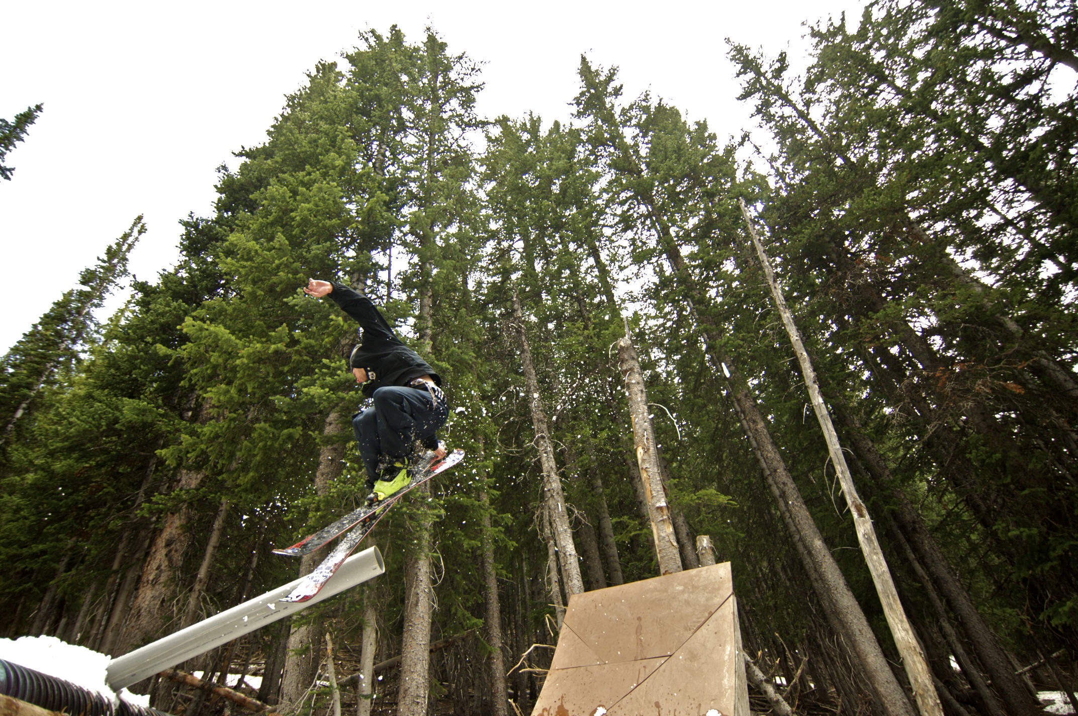 June 5th Woods session