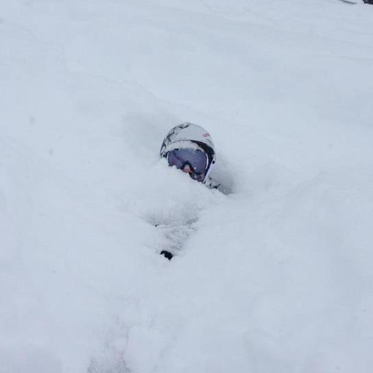 Just a little pow today