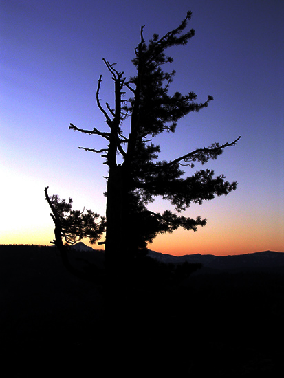 just because it's pretty doesnt mean it's art