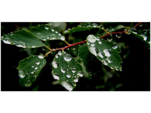 Just some amazing quality