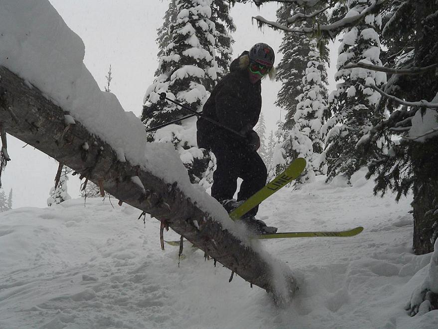 just some tree action...