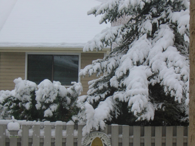 just to rub it in a bit