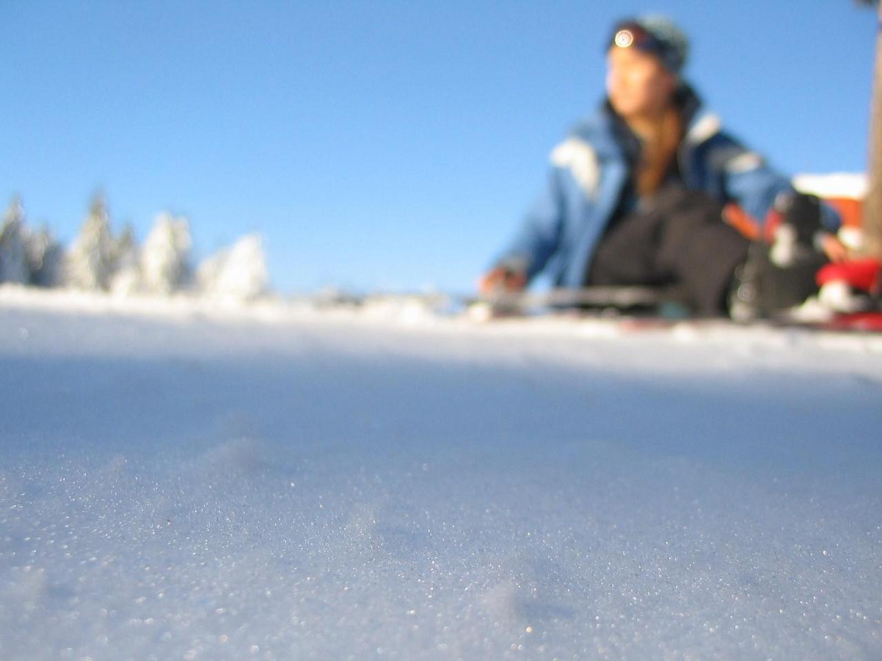 just wanted to post the 6000th pic