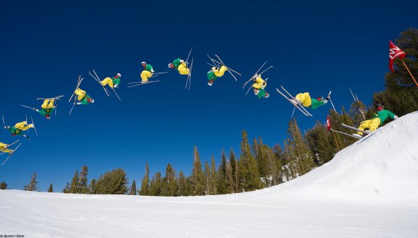 KANGOROOOOOOOs in Mammoth??