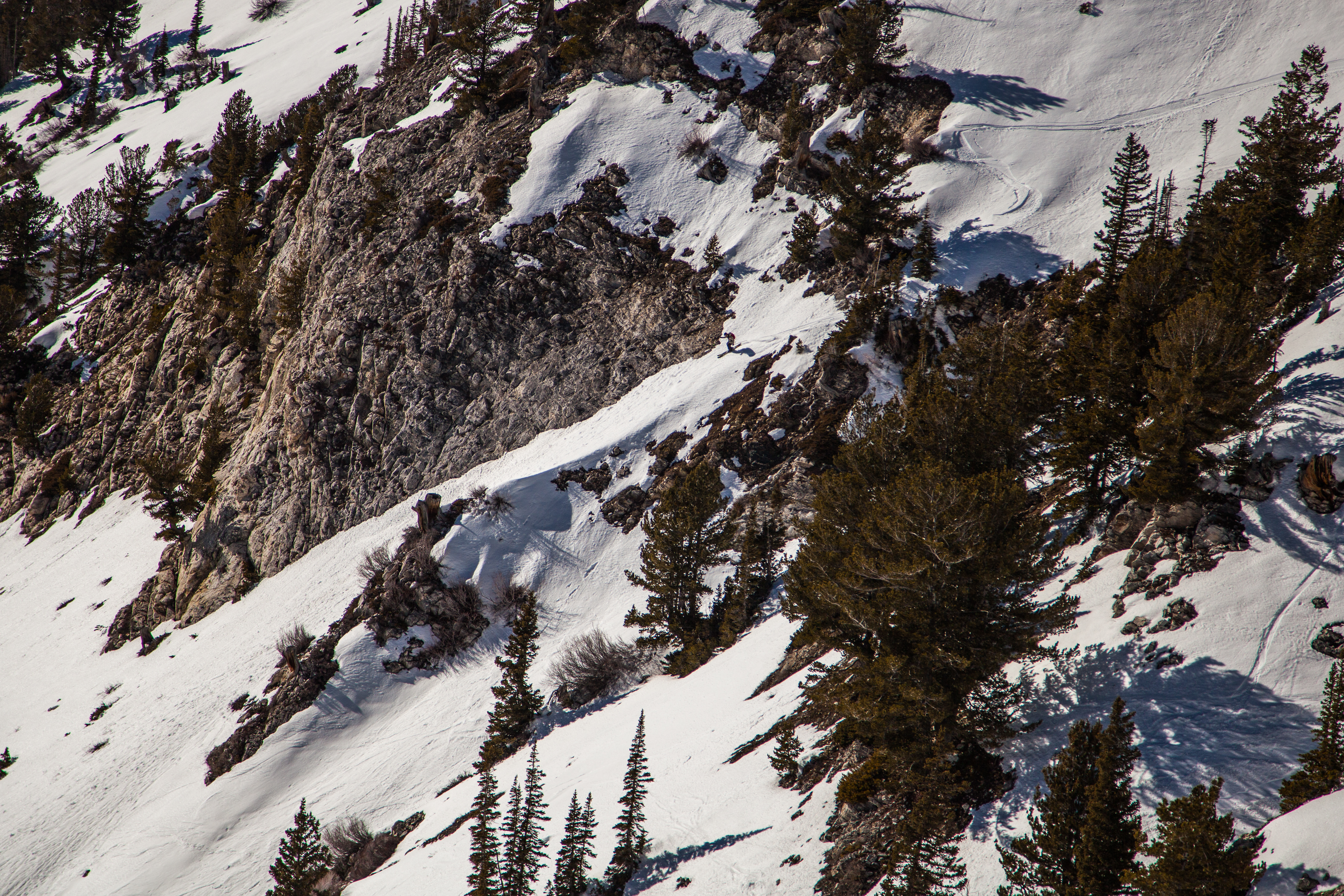 Karl Fostvedt- Grizzly Gulch