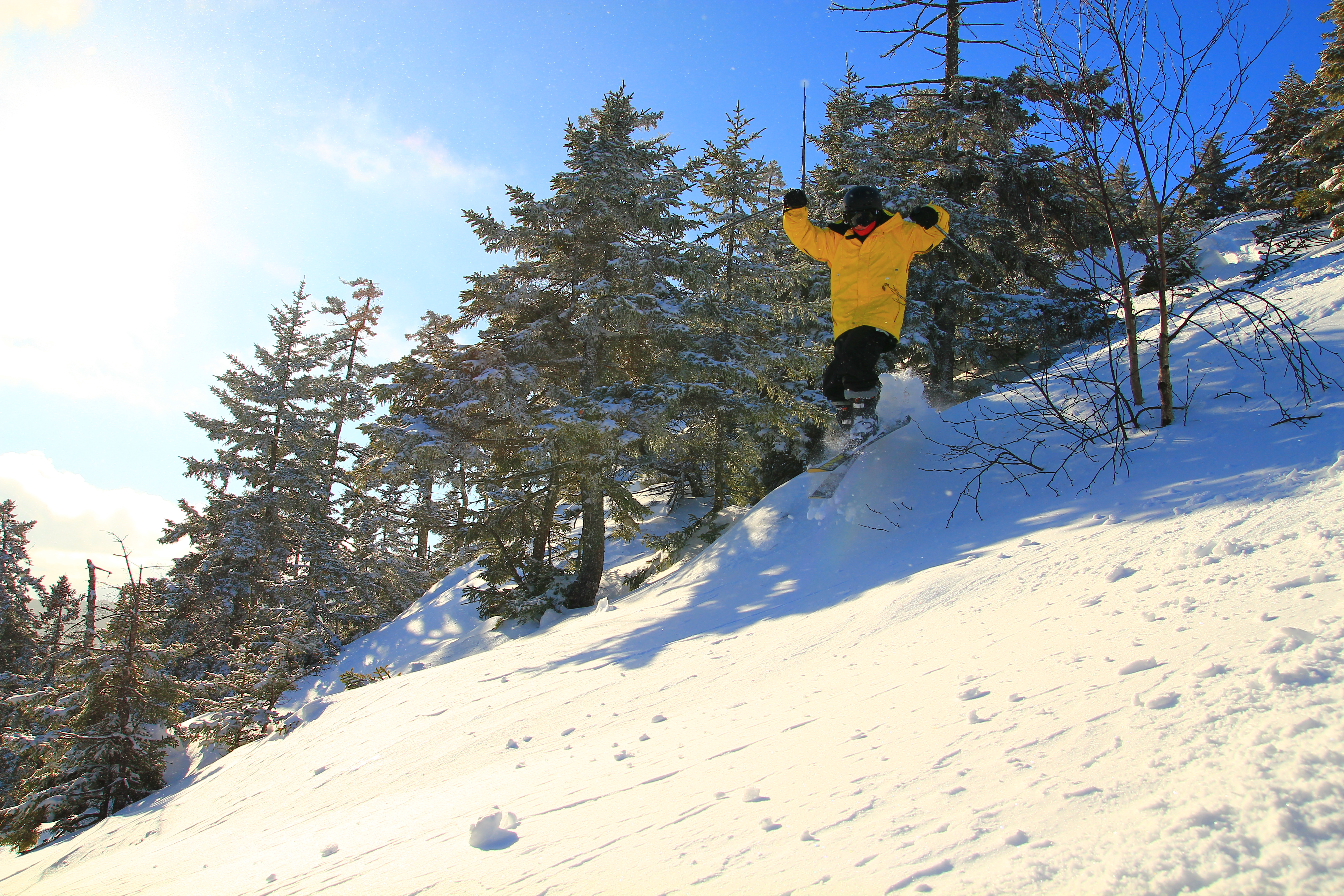 Killing it in the east