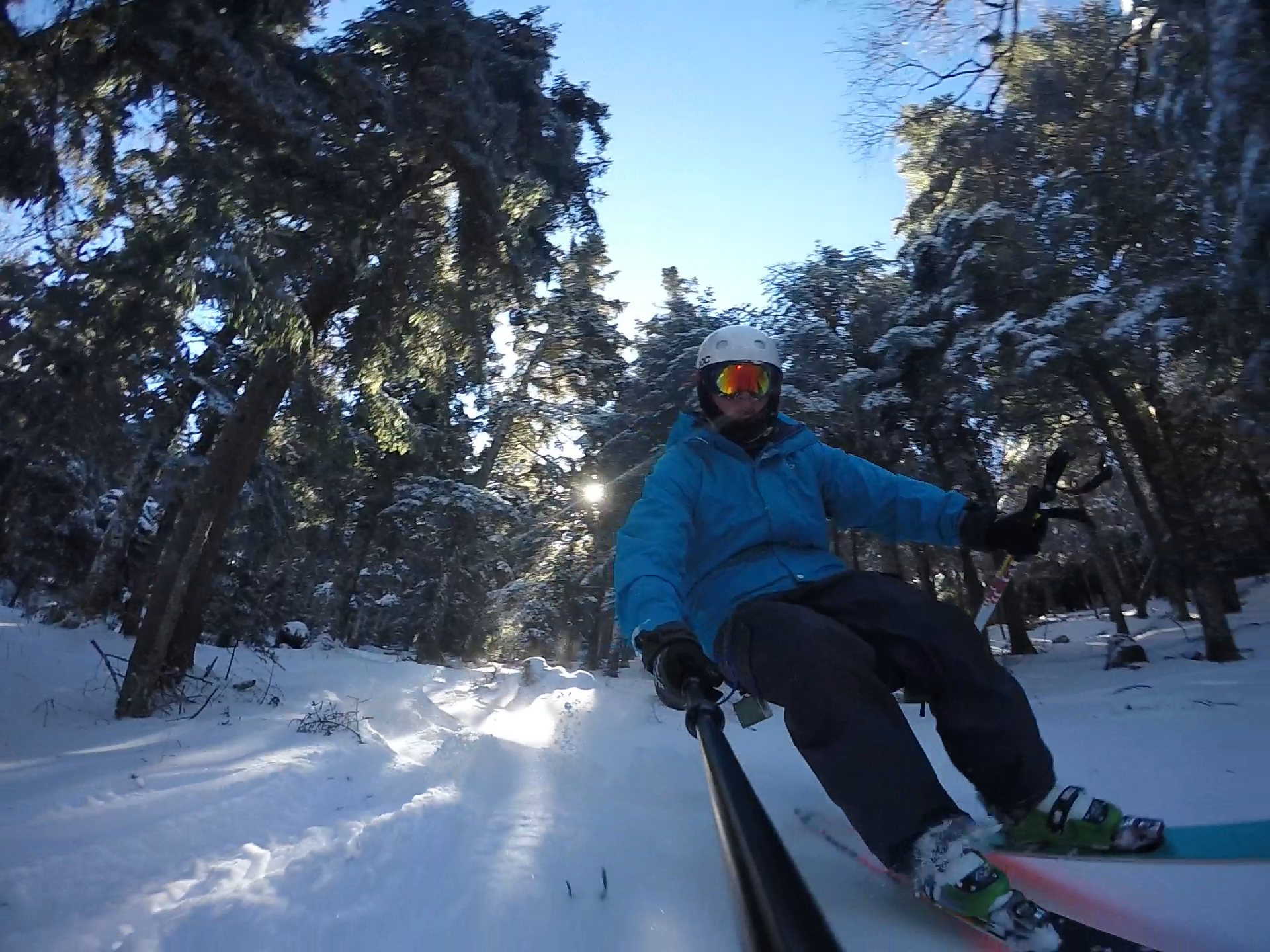 Killington Tree Action