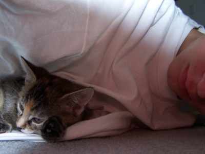 Kittty in muh white tee