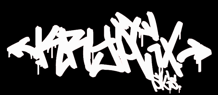 Kryptix Skis....handmade authentic park skis