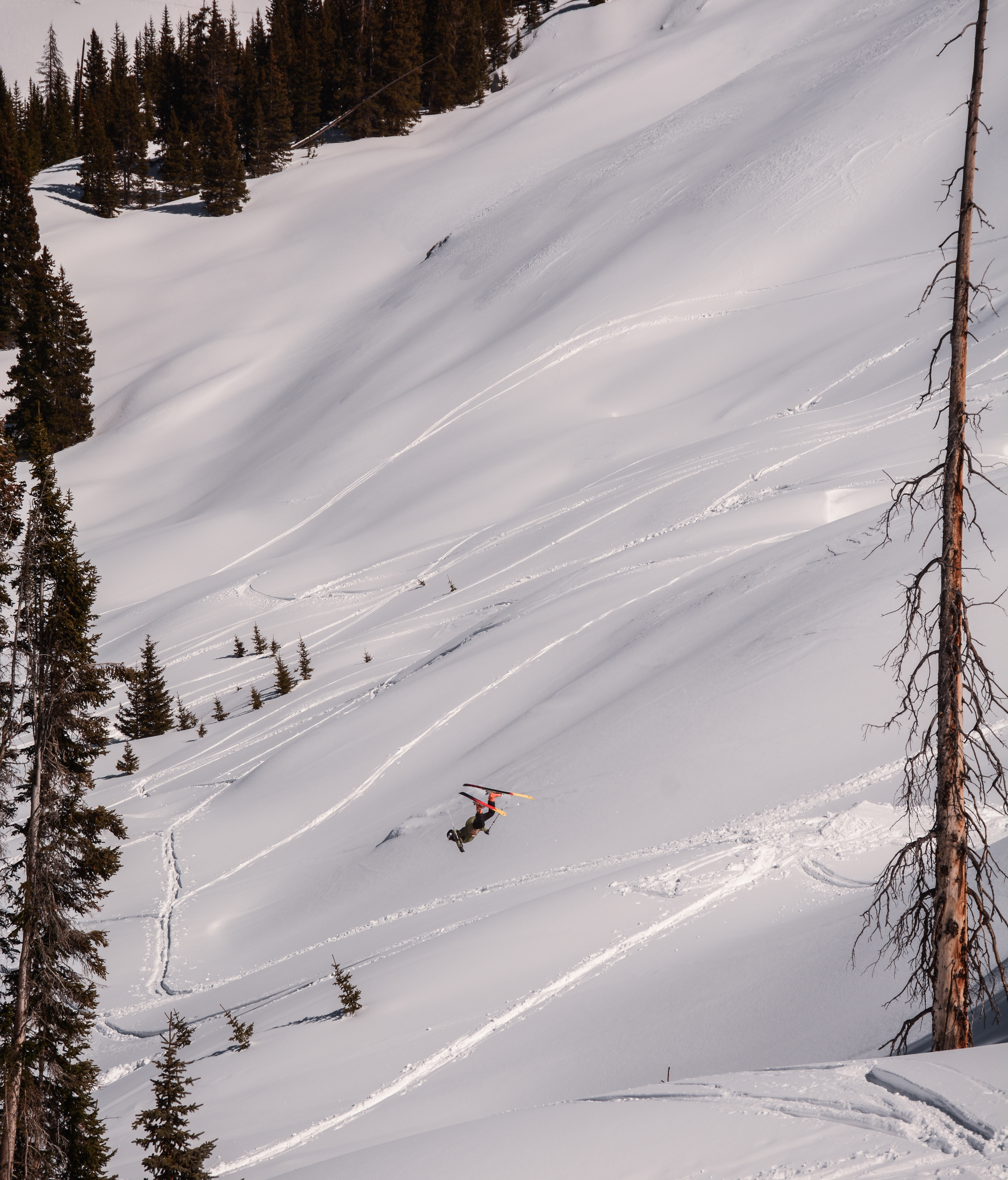 laid out in the colorado back country 