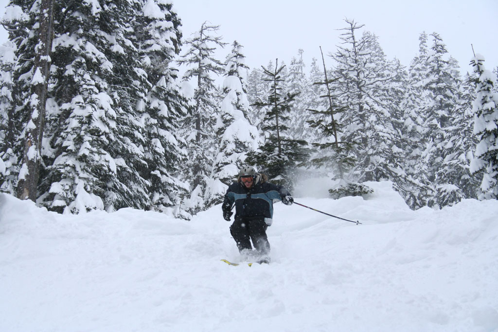 Landin after the tree jump