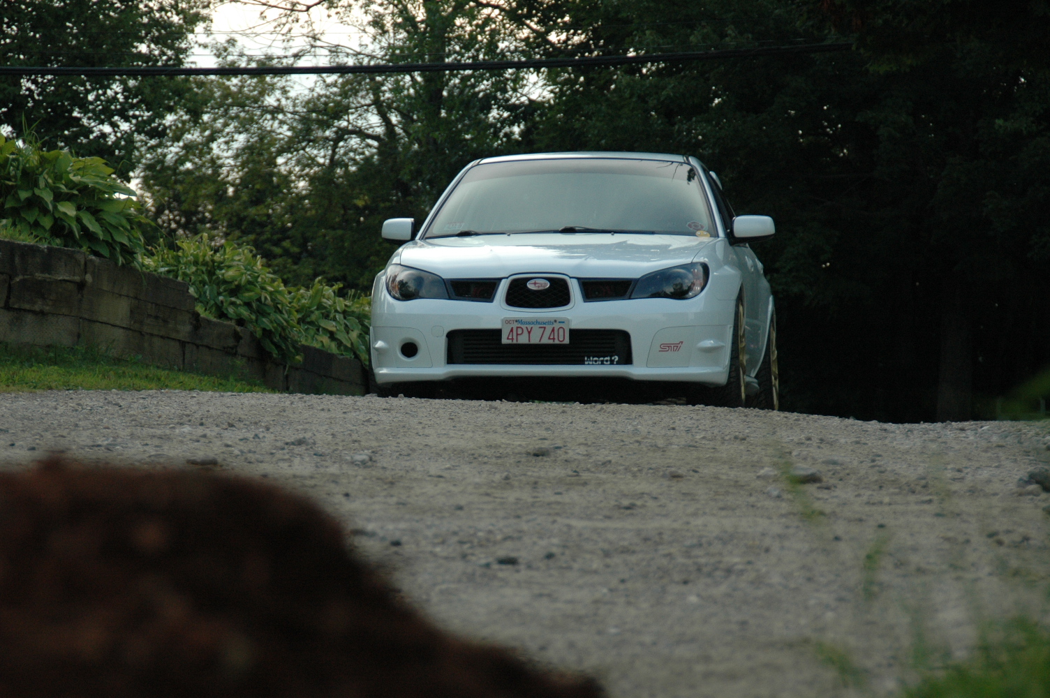 Last day of the sti:(