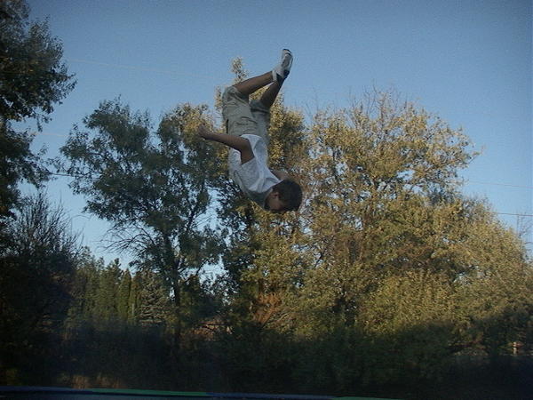 layed out backflip on a traploline