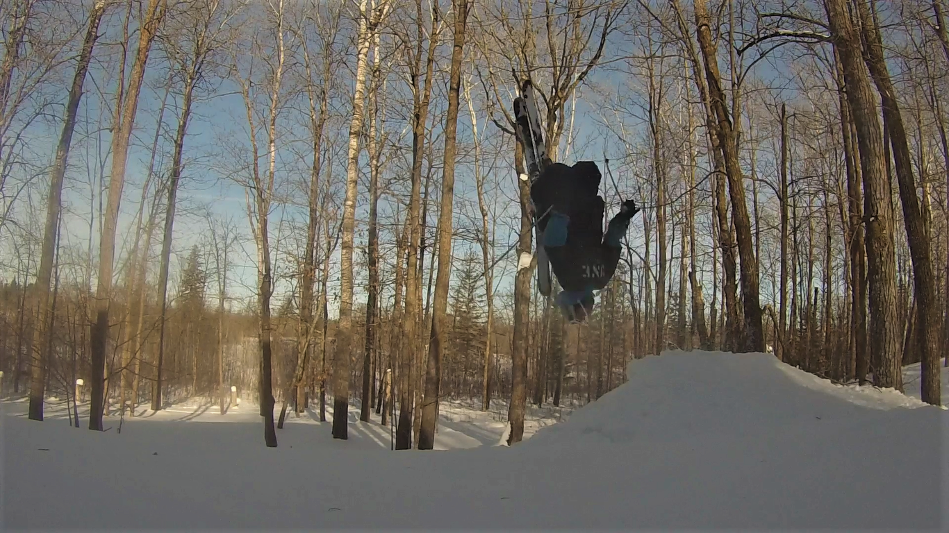Layed Out Backyard Backy