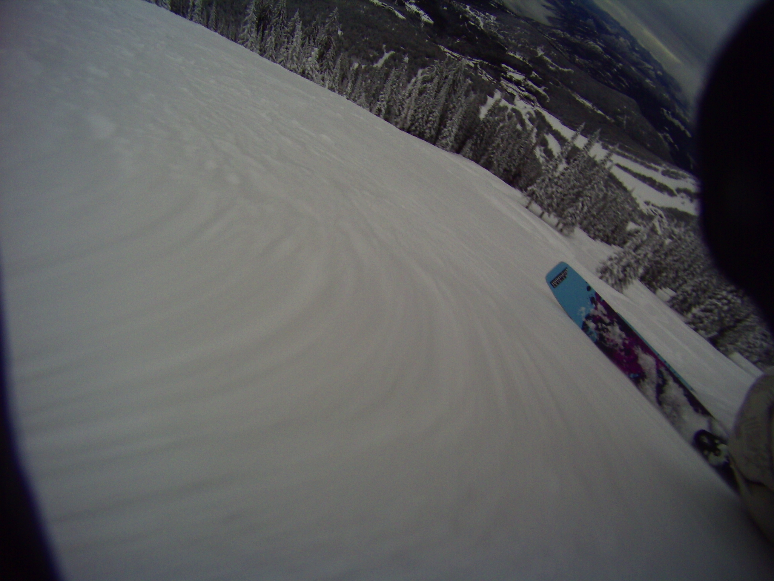 Layin the Donner Partys over.