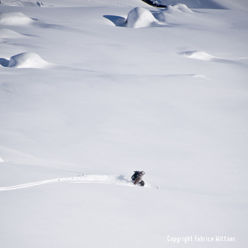 Leo Taillefer - 1 of 5