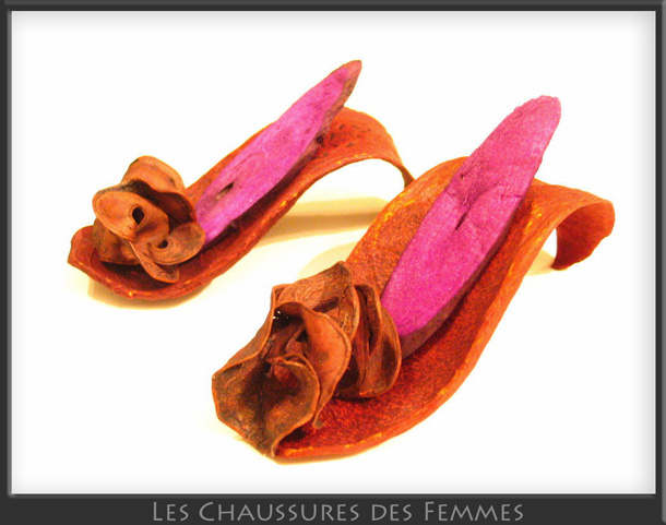 Les chaussures des femmes