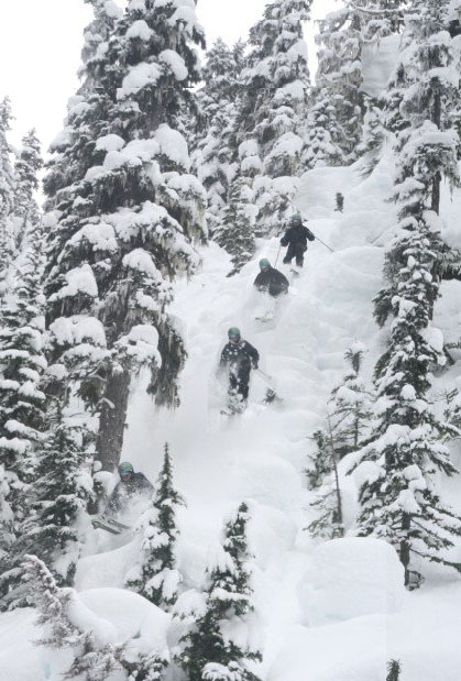 Let me fluff your pillow...