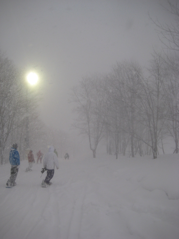 Let the nightshred beginn