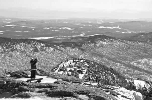 Letting the bird fly