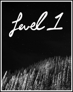 Level 1