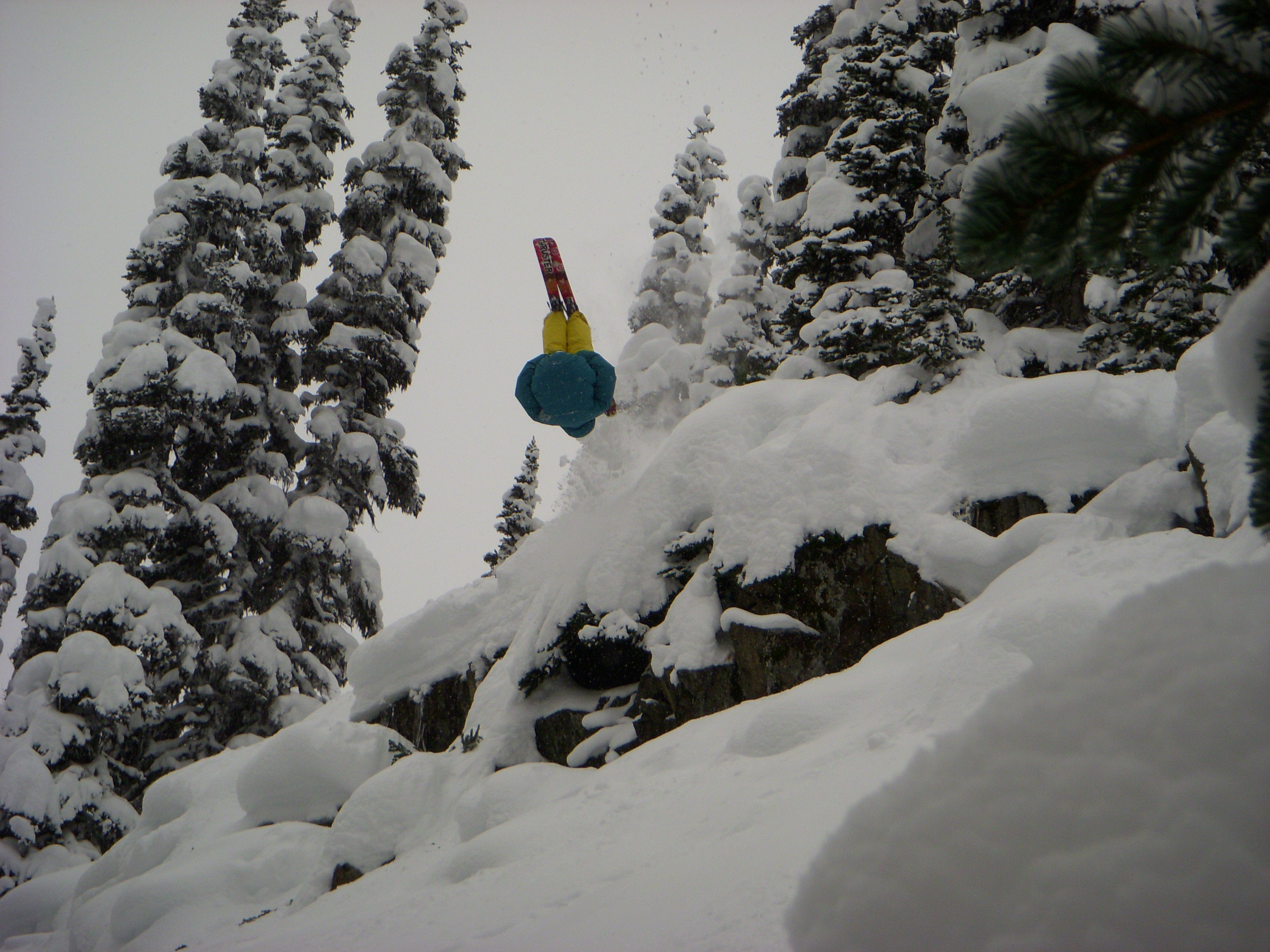 Lil Front Flip Action