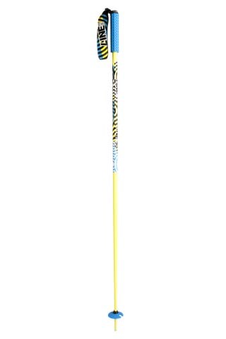 Line Dart ski pole