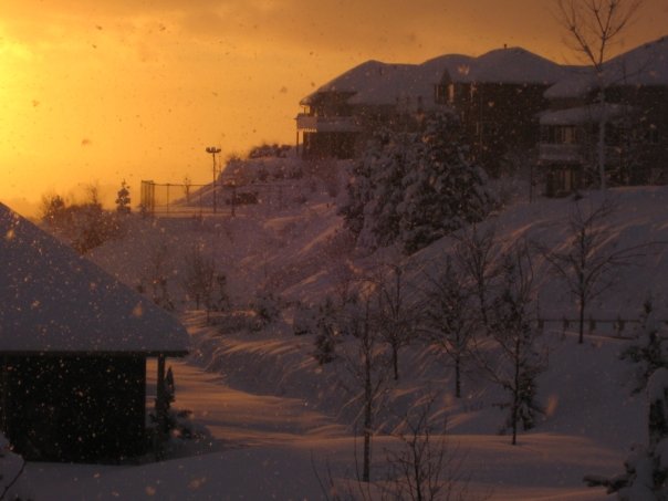 Line of backyards sunset