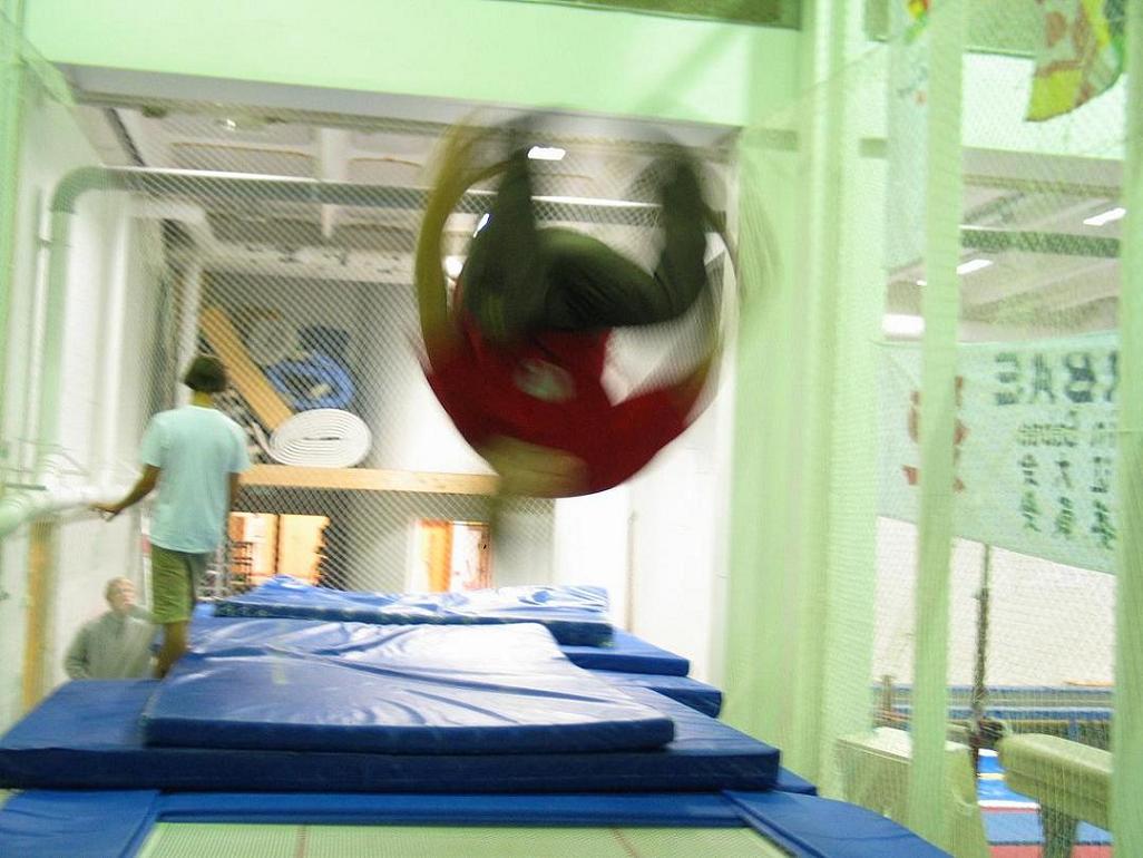 linkoln on tramp (and itÂ´s NOT photoshopped)