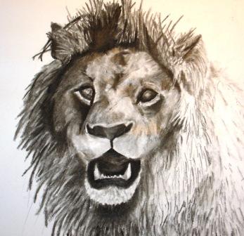 Lion Sketch