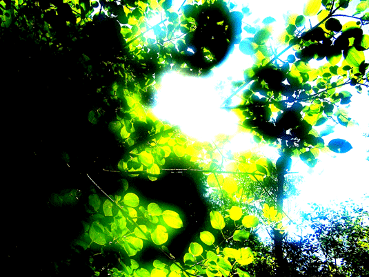 Little Bit Different